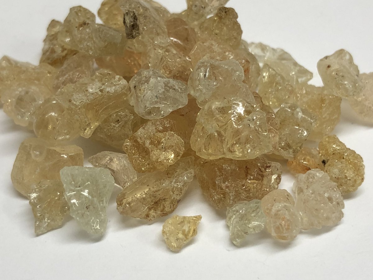 herbasense's tweet photo. #Kikkar, Keekar, Babool gond, Babul gond, Indian Gum-arabic, Gum Acacia, Babul, Wattle Bark, acacia à gomme, Gommier rouge, Gummiarabicabaum, Arabischer Gummibaum, Kaloabaval, Baval, Babla, Babur, Babbuli, Baunijali, Bobbuli, Karijali, Ramakanti, Sak, Acacia arabica Willd, https://t.co/2Ooga6urg4