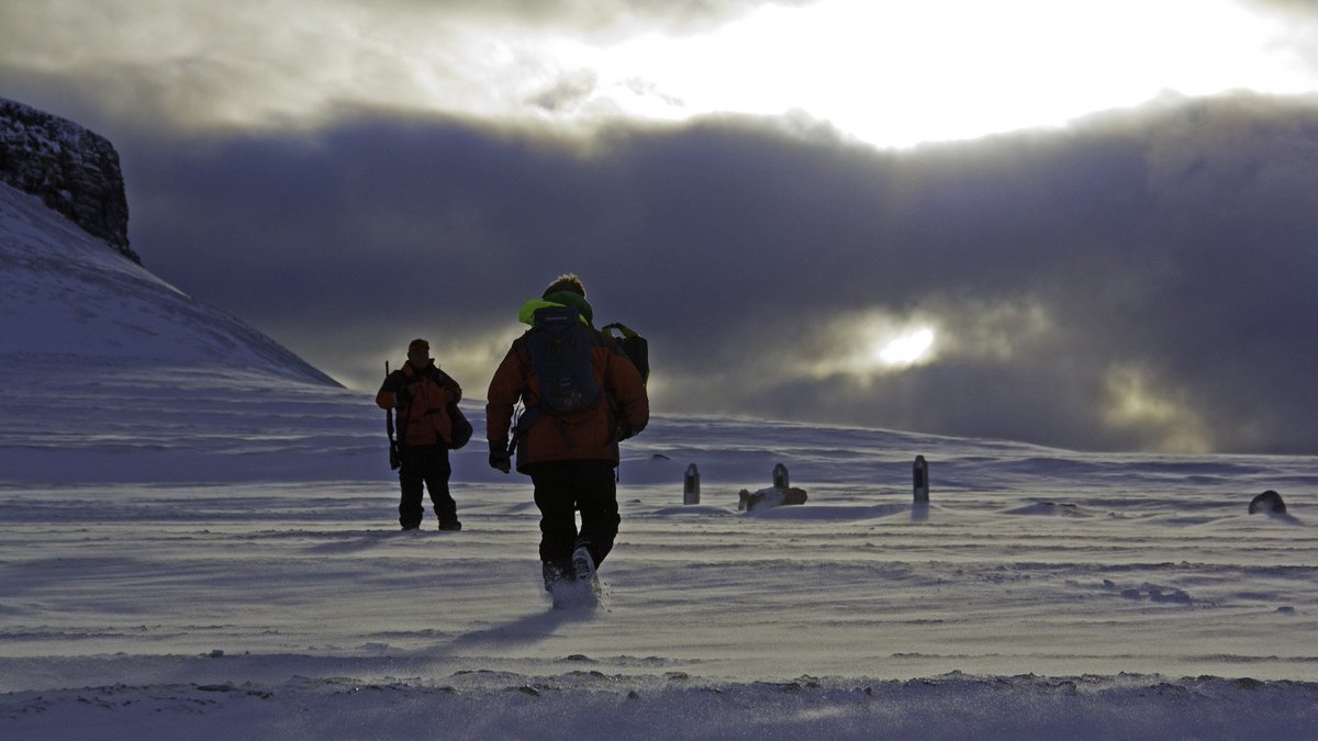 New year, new destination. Our first safari to Greenland departs in 2018, and clients embarking on this pioneering adventure will do so alongside expert photographic guide Andrew James (<a href="/amjgomedia/">Andrew James</a>). Click here to find out how to join him: ow.ly/IZD930hBzKo