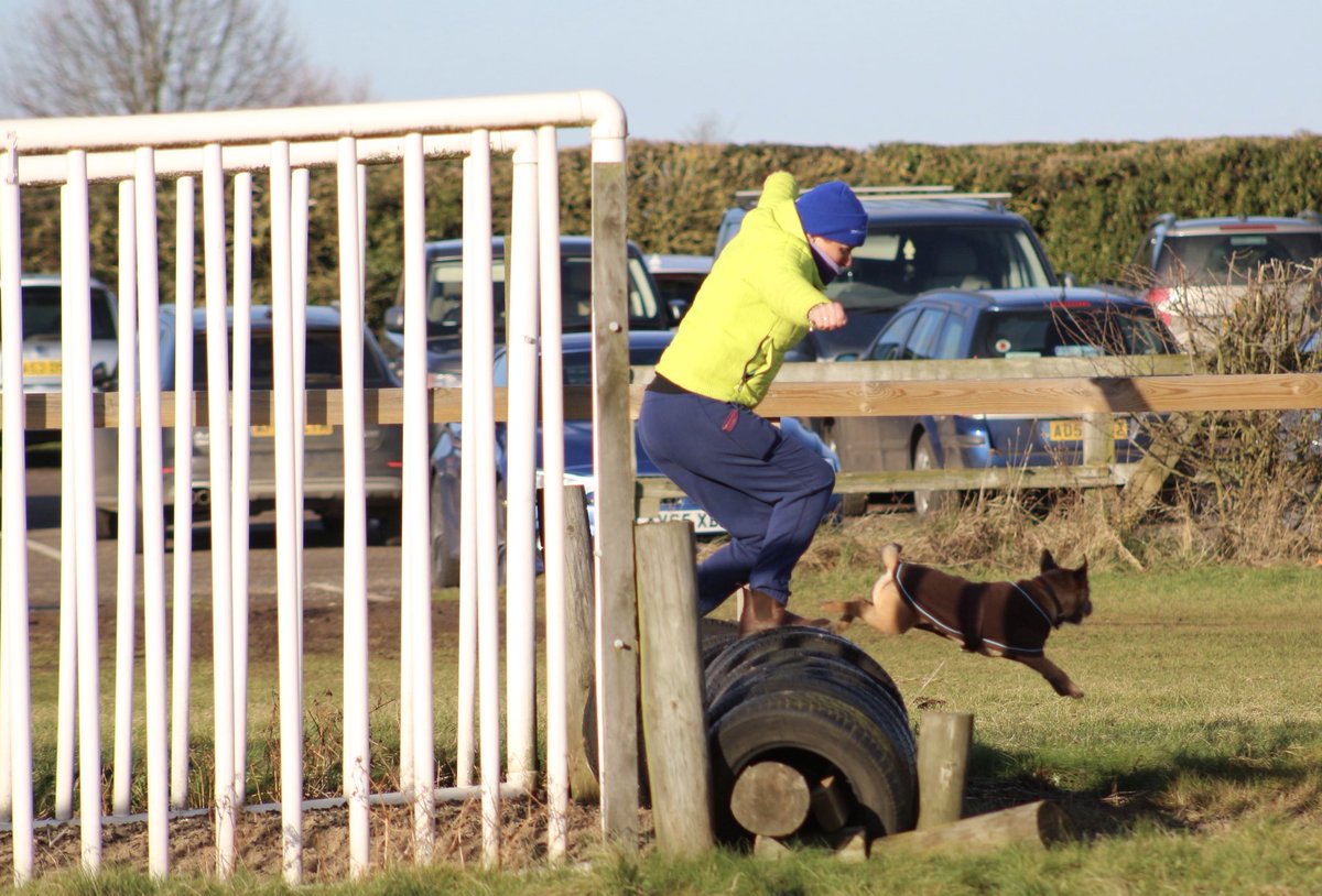 charmaine070784's tweet photo. Ding dong stewards enquiry @NewmarketGallop @GayKelleway seen attempting to jump the first #Outpaced #TheDogWins #FunTimeSchooling 😂👍🏻 https://t.co/i0ZtDOKfrn