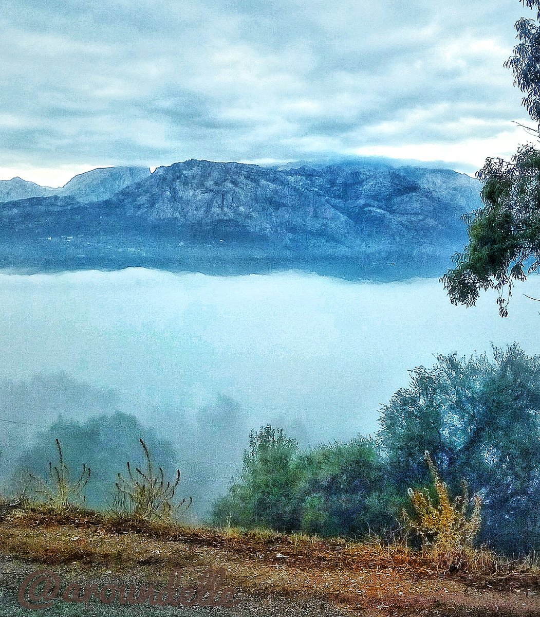 ellednuora's tweet photo. Les plus merveilleuses choses sont les plus simples, comme se reveiller en face de cette belle vue ๐๐๐
#Amazing #Algeria #Djurdjura #mountain #photographer #amateurphotography #evasion #simplything #chezgrandmรจre #lebled https://t.co/ucoxUMEz9X