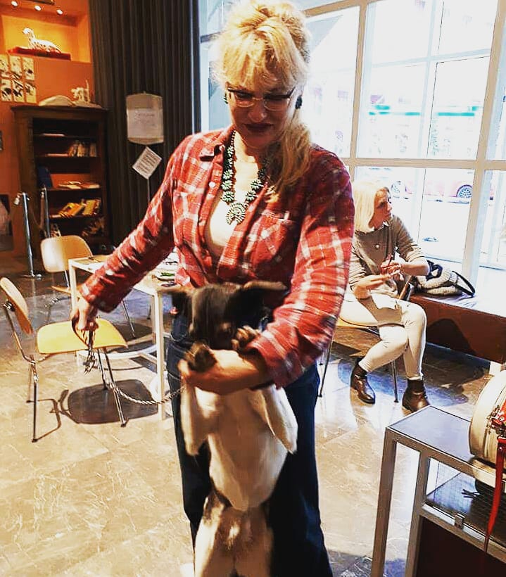 Dogparade010's tweet photo. Woef! Veel aanloop weer gistermiddag voor #WeLoveDogs, de afsluiter van ons #MuseumOfDogs in de Hal van @TheaterRdam #trots op #TeamDogparade010 #Dogparade010 #DogsOfRotterdam #Rotterdam https://t.co/1ey3OZIwOi
