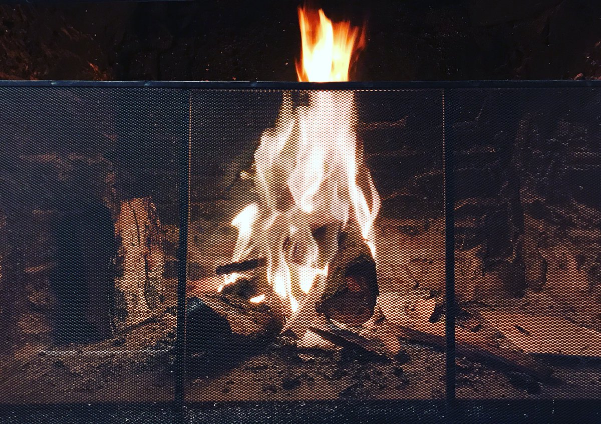 We have fire on this very chilly Sunday afternoon, pop in to warm up and enjoy one of our Sunday roasts!
#sunday #fire #cold #chilly #sundayroasts #roasts #themaltstersarms #thetuckenhaypub