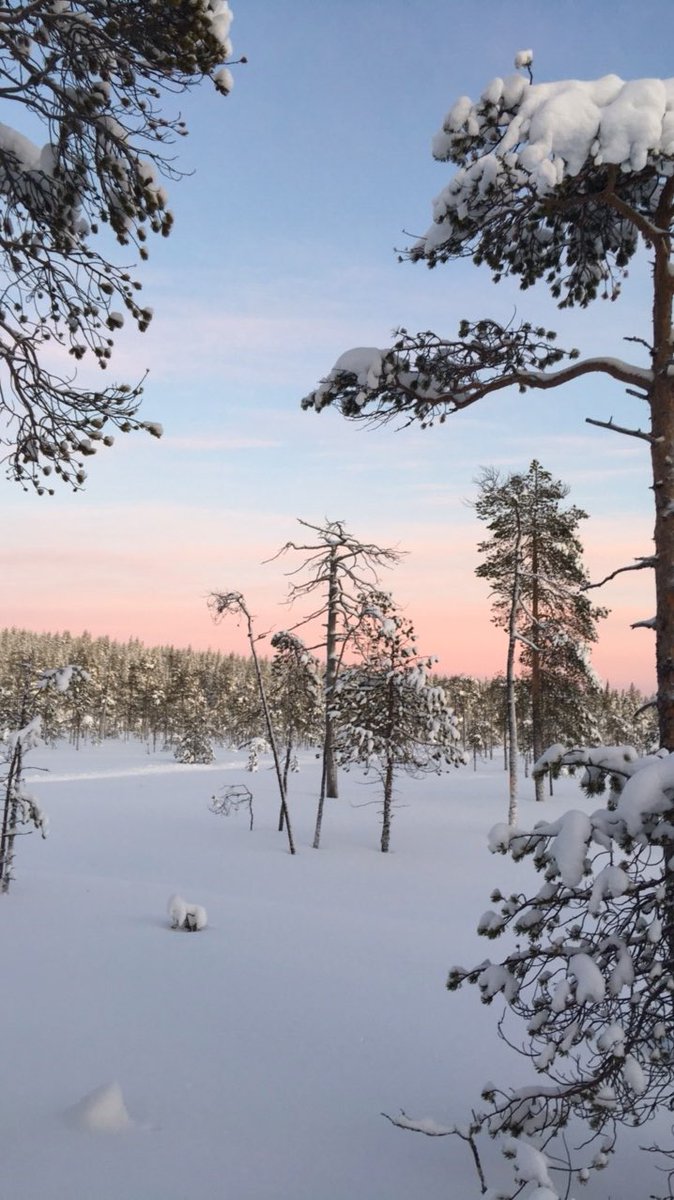suvioikarinen's tweet photo. Kyllä #rovaniemi pistää parastaan kunhan aurinko pääsee kurkkimaan pilviverhon takaa 😍🌤 #rollolove #visitrovaniemi https://t.co/H1GrE8ZA99