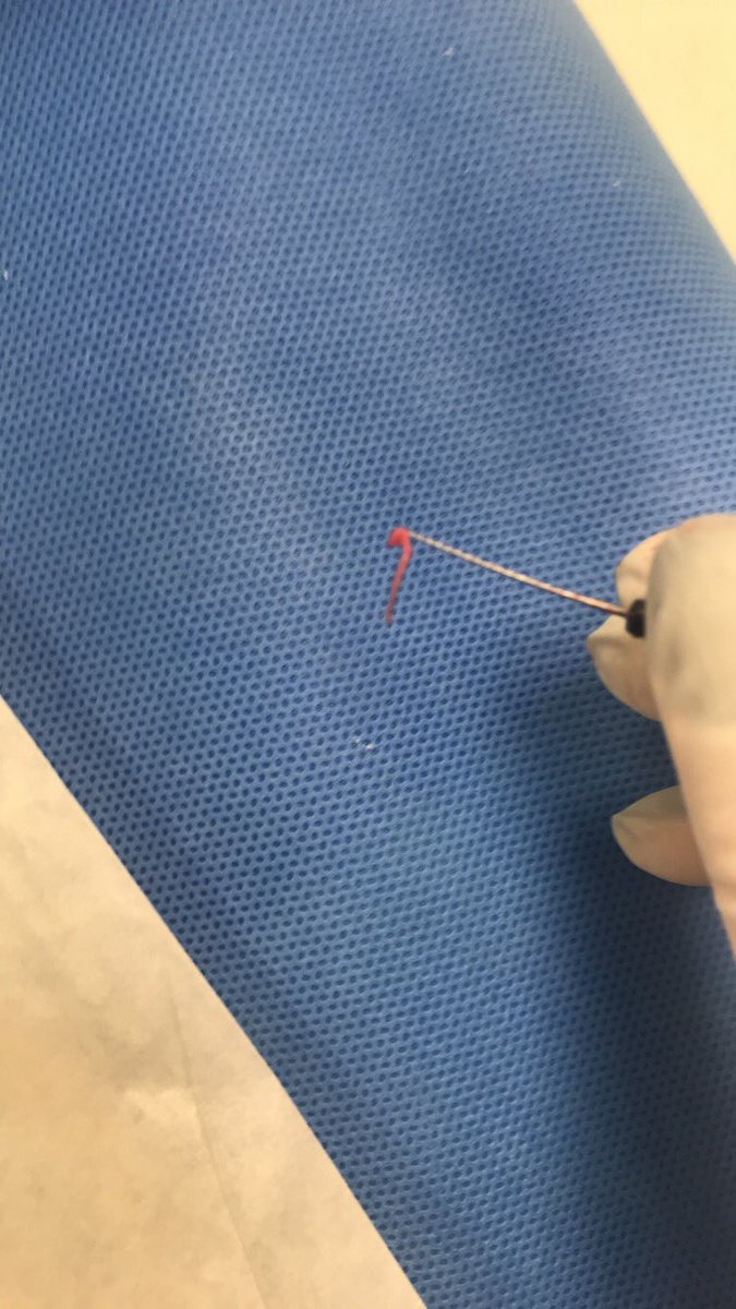 mayssabuafifeh's tweet image. #pulptissue 🤓💉