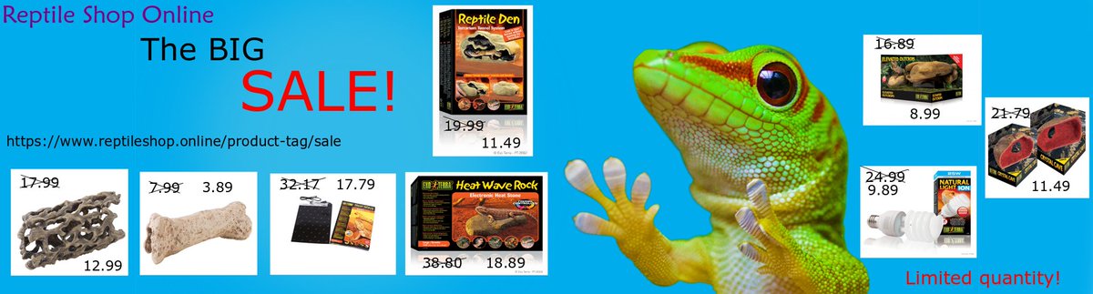 Reptile Shop Online (@ReptileEShop) | Twitter
