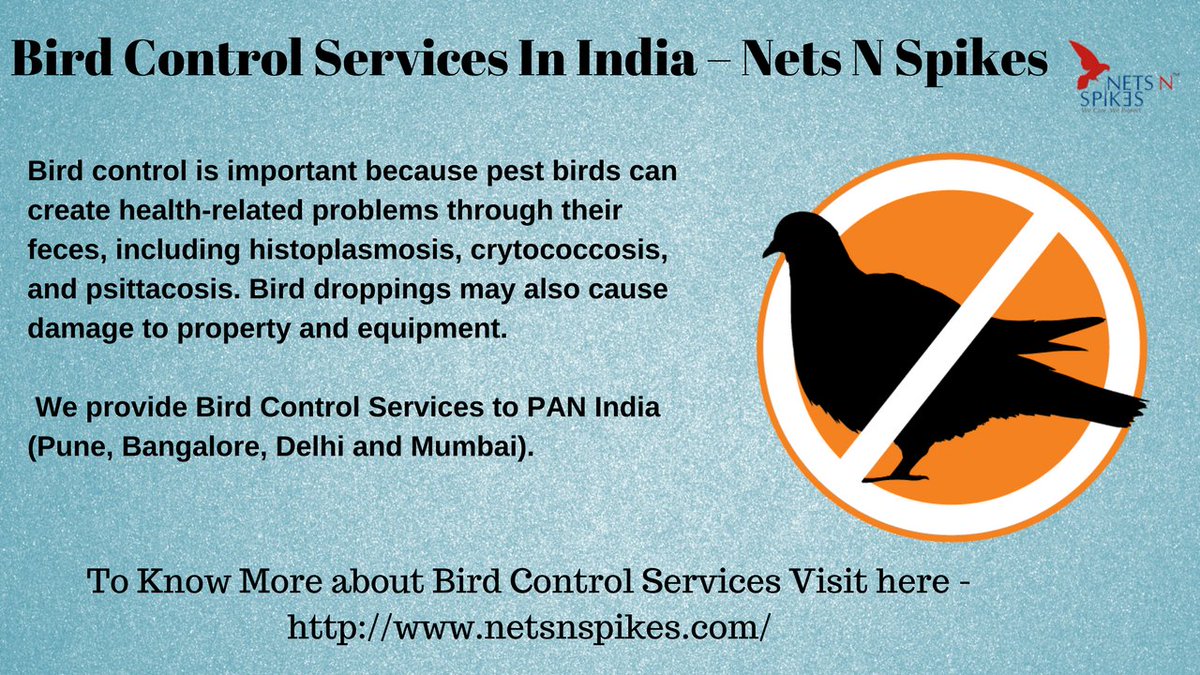 NetsSpikes's tweet photo. We provide #BirdControlServices in India.
For any query and requirement Please call us:
Toll Free No. : 1800 102 1928
Visit : https://t.co/2p9qgN1oxV
Email : info@netsnspikes.com https://t.co/MFkbiyrG0T