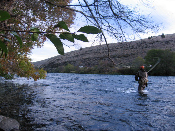 Have you seen the steelhead Fly Fishing Podcast?

Click here ===>> itunes.apple.com/us/podcast/wet…

#flyfishing #steelhead #flytying