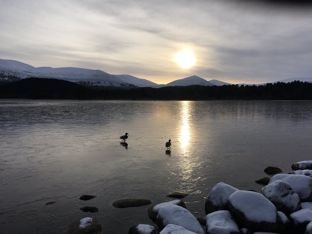 JodieCockerell's tweet photo. Sunset over cairngorm mountain #Cairngorms #aviemore #mountains #welcomescotland https://t.co/X3juapOP6b