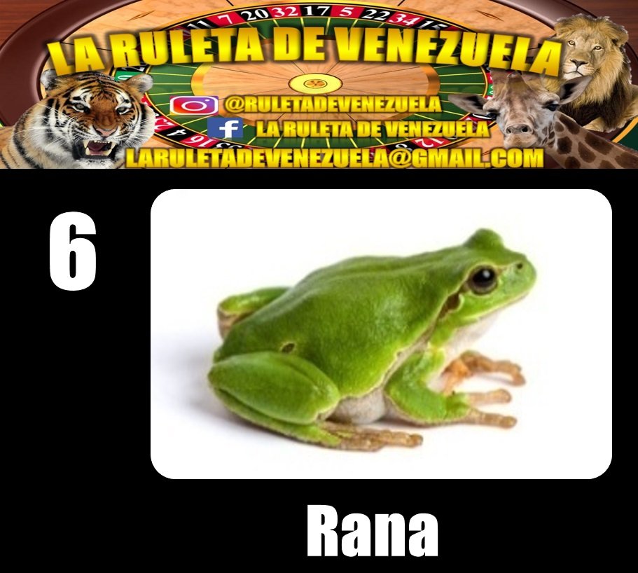 RESULTADO SORTEO N°0206 07 de Enero de 2018 Hora: 10:00 AM RANA 06 COLOR: NEGRO