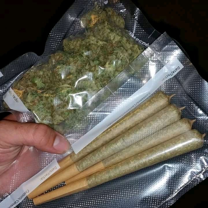 Billybopp007's tweet photo. @ArmyOfPotheads @NorCalStoner420 @mzstoned @LARRYIRBY6 @tripprrr @BarryRo61831082 @4Rare420_Rx @WeedEssence @TeresaJ04271991 @BoyGiuly @Michael57645022 @Cogitatorium @Norstackk ##420**cannabis medicaly ,joint me by my whatsapp number:+14692833739 or henderdominique@gmail.com https://t.co/ZLk9l2XKLe
