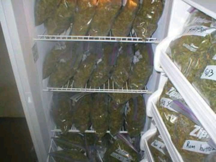 Billybopp007's tweet photo. @ArmyOfPotheads @NorCalStoner420 @mzstoned @LARRYIRBY6 @tripprrr @BarryRo61831082 @4Rare420_Rx @WeedEssence @TeresaJ04271991 @BoyGiuly @Michael57645022 @Cogitatorium @Norstackk ##420**cannabis medicaly ,joint me by my whatsapp number:+14692833739 or henderdominique@gmail.com https://t.co/ZLk9l2XKLe