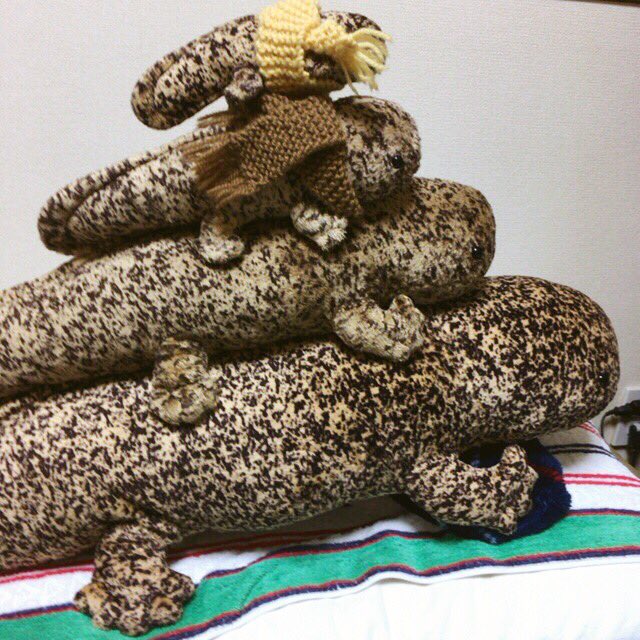 オオサンショウウオsを見てがんばるわー