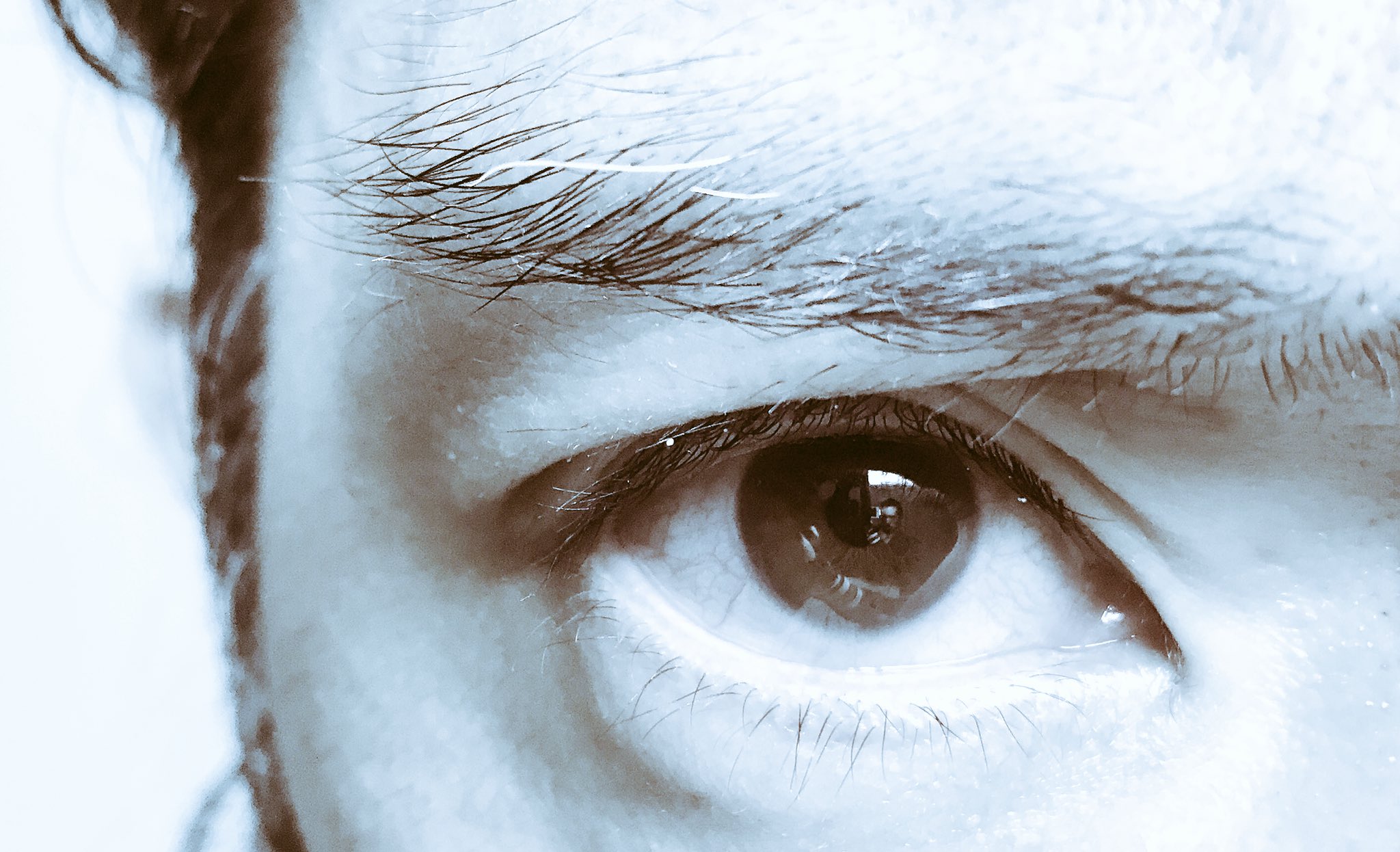 تويتر 丸屋九兵衛 ᵈᵁᵐᵃˢ ᵖʳᵒᵒᶠ ᴮᴱ على تويتر The Best 眉に白い毛がある 自分では凄く気に入っている 三国志読者ならわかるだろう 3世紀 緑眉毛 もいいけど 15世紀 T Co Parxj9i0z5 تويتر 丸屋九兵衛 ᵈᵁᵐᵃˢ ᵖʳᵒᵒᶠ ᴮᴱ على تويتر The Best 眉に白い毛がある 自分では凄く気に入っている 三国志読者ならわかるだろう 3世紀 緑眉毛 もいいけど 15世紀 T Co Parxj9i0z5