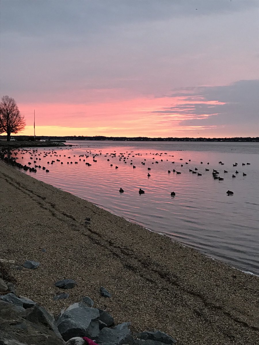 New Castle Weekly tweet media