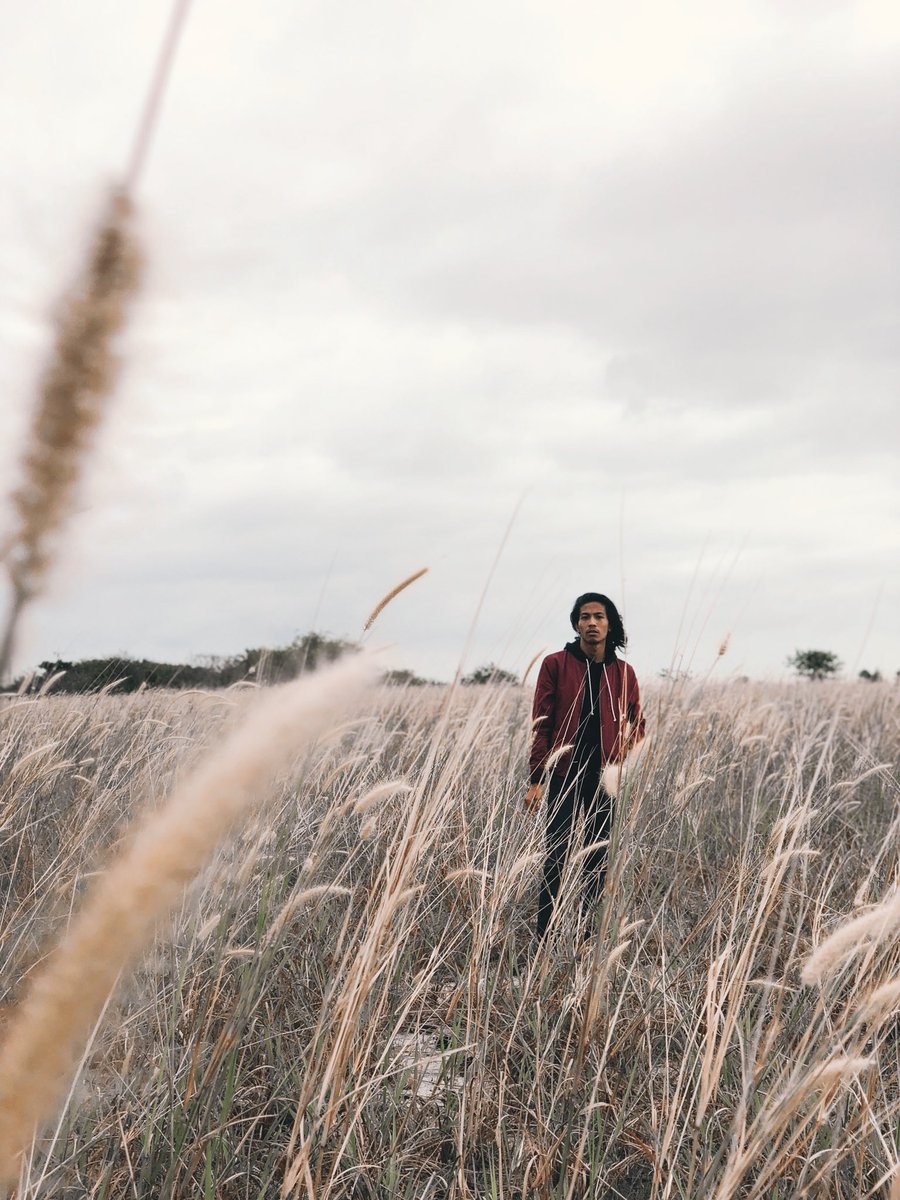 k__amin's tweet image. tips ringas on how to TAKE a photo,

Framing your subject is very important.

Place your subject right,colour play is important to create mood of your photos.

Adjust the brightness by sliding your finger up/down (do it moderately to prevent the photo to be over/underexposed.