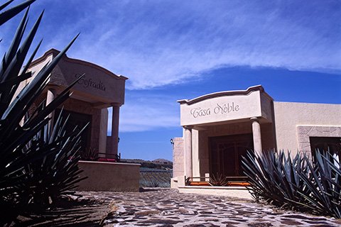 Hotel Boutique La Cofradia es el único hotel dentro de una fábrica tequilera, <a href="/haciendasycason/">Haciendas y Casonas</a> <a href="/tesorosdemexico/">Tesoros de México</a> <a href="/JaliscoEsMexico/">Jalisco Es México</a> @consultoreshote <a href="/CarlosHdzRamos/">CarlosHernandezRamos</a> <a href="/MaticesHotel/">MaticesHotelBarricas</a>  #tequilacofradia #cofradia360 #tequilapueblomagico #haciendasycasonas #tesorosdemexico