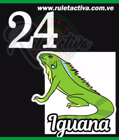 ruletactivave's tweet photo. RESULTADO SORTEO N°1538
07 DE ENERO DEL 2018
HORA : 11:00  ÁM
IGUANA 24
COLOR: NEGRO https://t.co/VYNuTSEQ0a