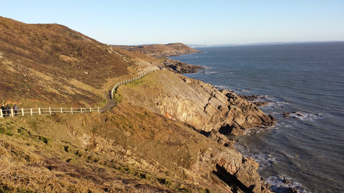 CeeegeBirds's tweet photo. Not a bad place to grow up! Lovely visit back "home" again. Stonechats aplenty on the Langland cliffs! #Gower https://t.co/WLRYmm7snj