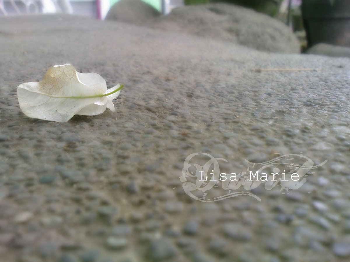lisamariedavid's tweet photo. @FotomasinoTPG I DON'T USUALLY SHOOT FLOWERS/IN MACRO SO I DON'T HAVE ANYTHING TO COMPARE TO BUT HERE'S A THROWBACK OF MY "FLOWER PHOTOGRAPHY" HAHAHAHA MY WATERMARK THO #JaNEWary #FotoEvolution https://t.co/A2wnijtxgh