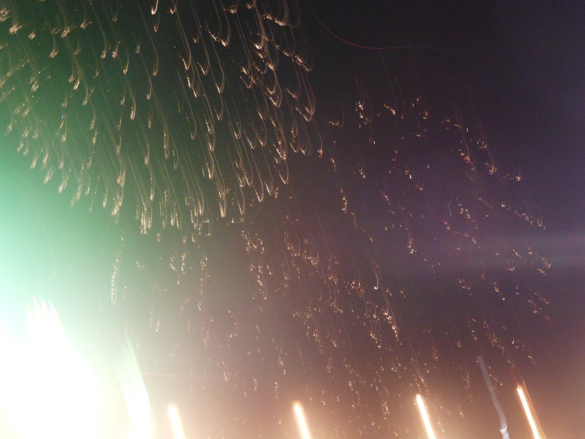 lisamariedavid's tweet photo. @FotomasinoTPG @fotoevolution Fireworks #JaNEWary #FotoEvolution
2013 during my cousin's wedding vs. 2016 UST Paskuhan https://t.co/8Ye7Hh59ug