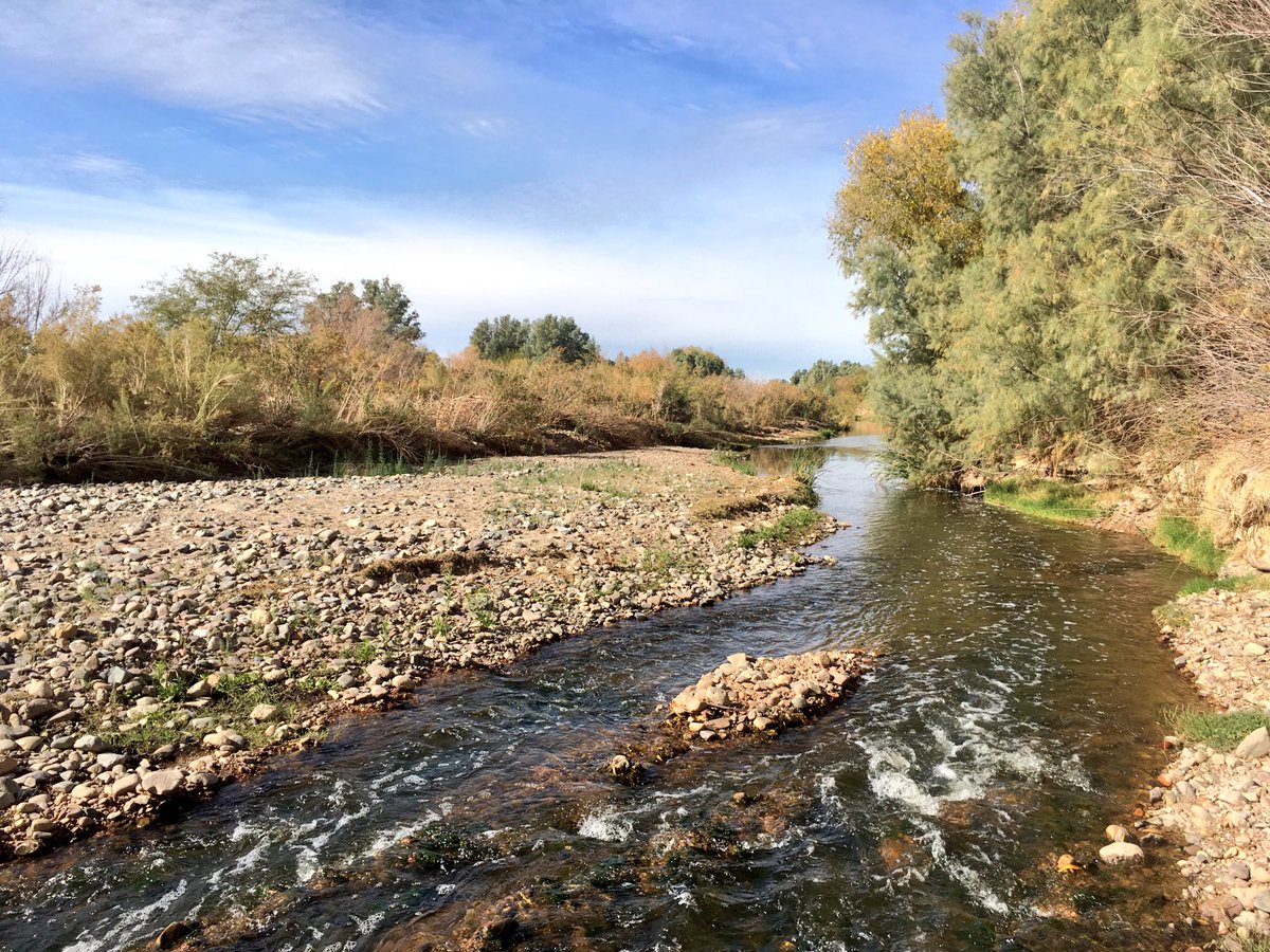 mtbogan's tweet photo. Sampling the effluent-dominated Santa Cruz River in Tucson while wearing a t-shirt from my *other* favorite urban river! #streamnerd https://t.co/FiLu66MA1o