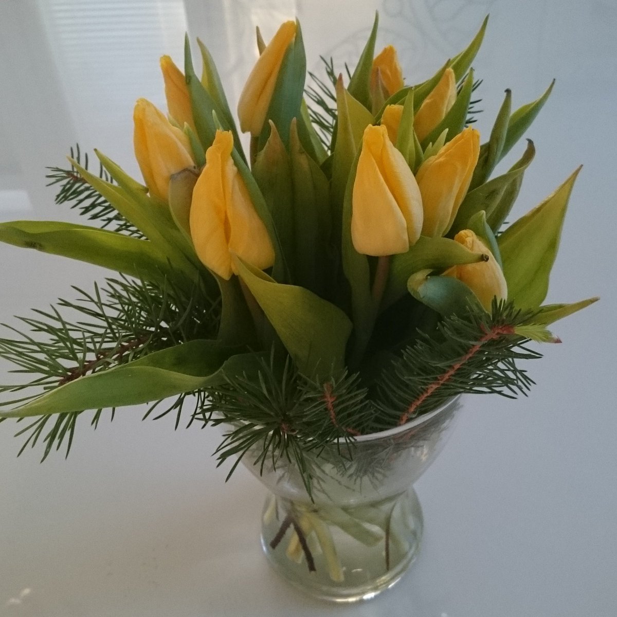 kotiporstua's tweet photo. Kevättää 🌞 #tulppaanit #tulips https://t.co/G34fZwQvdT https://t.co/6r1cE2Ypry