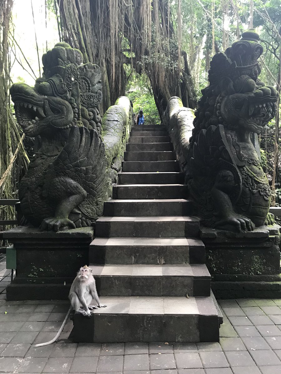 brocnbells's tweet photo. Exploring on foot is a great way to keep up your #fitness while #traveling #health #workout https://t.co/KqCkNqadzG