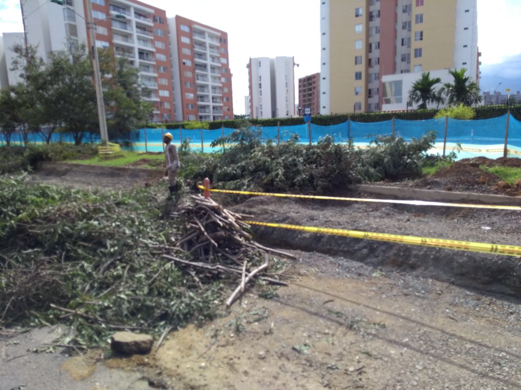 HumedalBST's tweet photo. Tala de arboles en la calle 42 valle del lili. Traslado de los más pequeños, talados los más grandes siendo la mayoría. Armitage y Nicolás Asesinos de medio ambiente https://t.co/VOAEs0T11m