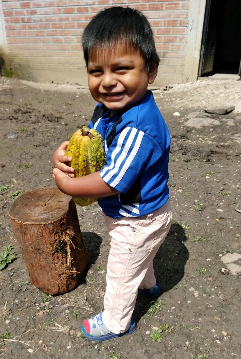 Campo life in the Marañon Canyon -- Don Fortunato's youngest grandson already loves Pure Nacional #cacao !