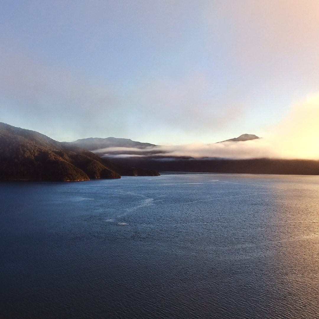 Where Ōra King are raised to perfection.

📍Marlborough, New Zealand 

#Marlborough #NewZealand #wagyuofthesea #bestofbreed #orakingsalmon #sea #salmon #quality #chef #cheflife #chefstalk #chefstagram #cheftable #gourmet #gourmetfood #cuisine #premium #quality