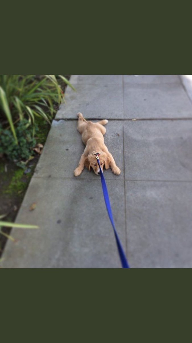 burritomal's tweet photo. Already dreading #crapmonday https://t.co/3ojHYqCnUs