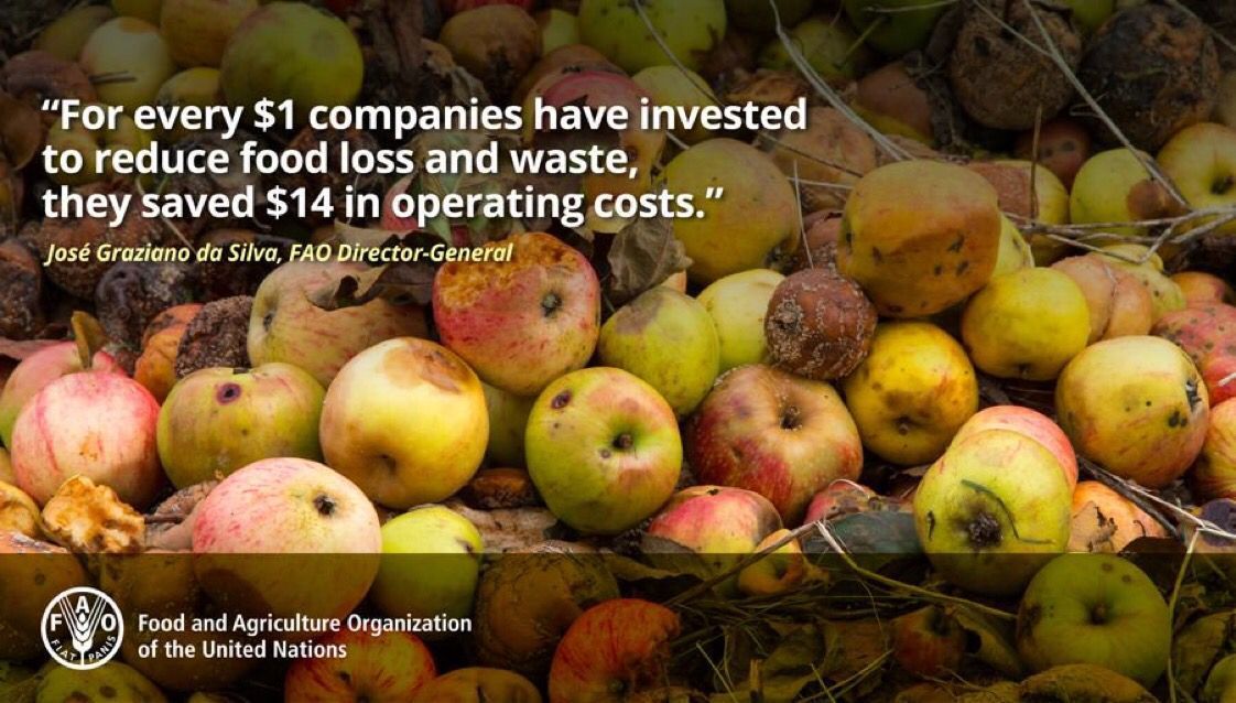 FAOKnowledge's tweet photo. "Reducing food losses &amp; #foodwaste makes economic sense" - @grazianodasilva #ZeroHunger https://t.co/cub96pm13J