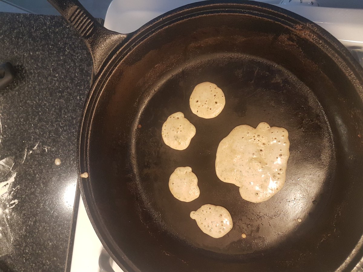 adamTford's tweet image. Indirect cues of a large carnivore drive trophic interactions on Sunday brunch. 
#namethattrack #cougarornot #pancakescience