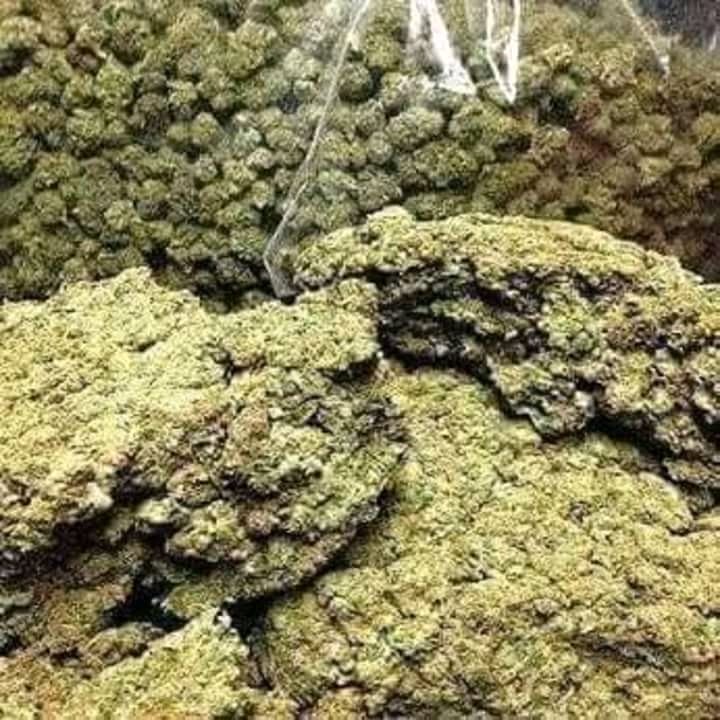 Billybopp007's tweet photo. @Hippie_of_Love If you love marijuana joint me by my#420*whatsapp nimber(+14692833739)//or henderdominique@gmail.com https://t.co/HeVnjrqwfp