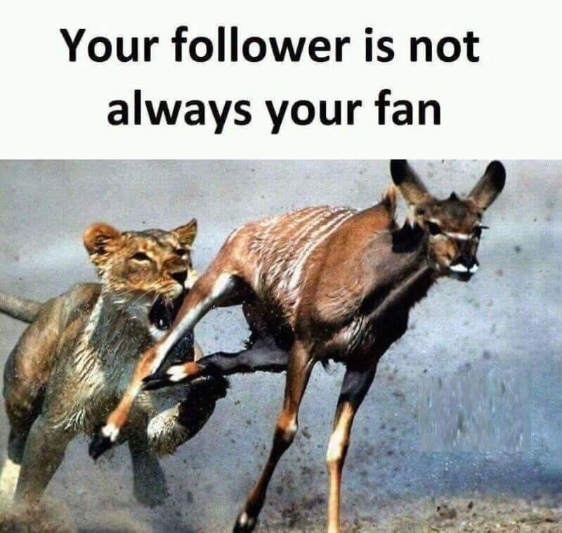 prntsolutionbd's tweet image. Remember it.