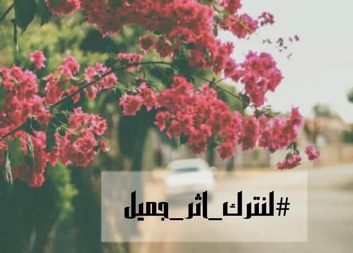 @M__llo ضع أمرّك في ودائع الله،
وقُل يارّب سلمتُك أمريّ وهمي،
الله يسمع ندائك الخافت،
الله يصغي لإرتجافات مشاعرك المتوّعكة
حين تظنّ أن لا أحد يسمعك🌿💛
@M__llo 
#لنترك_اثر_جميل