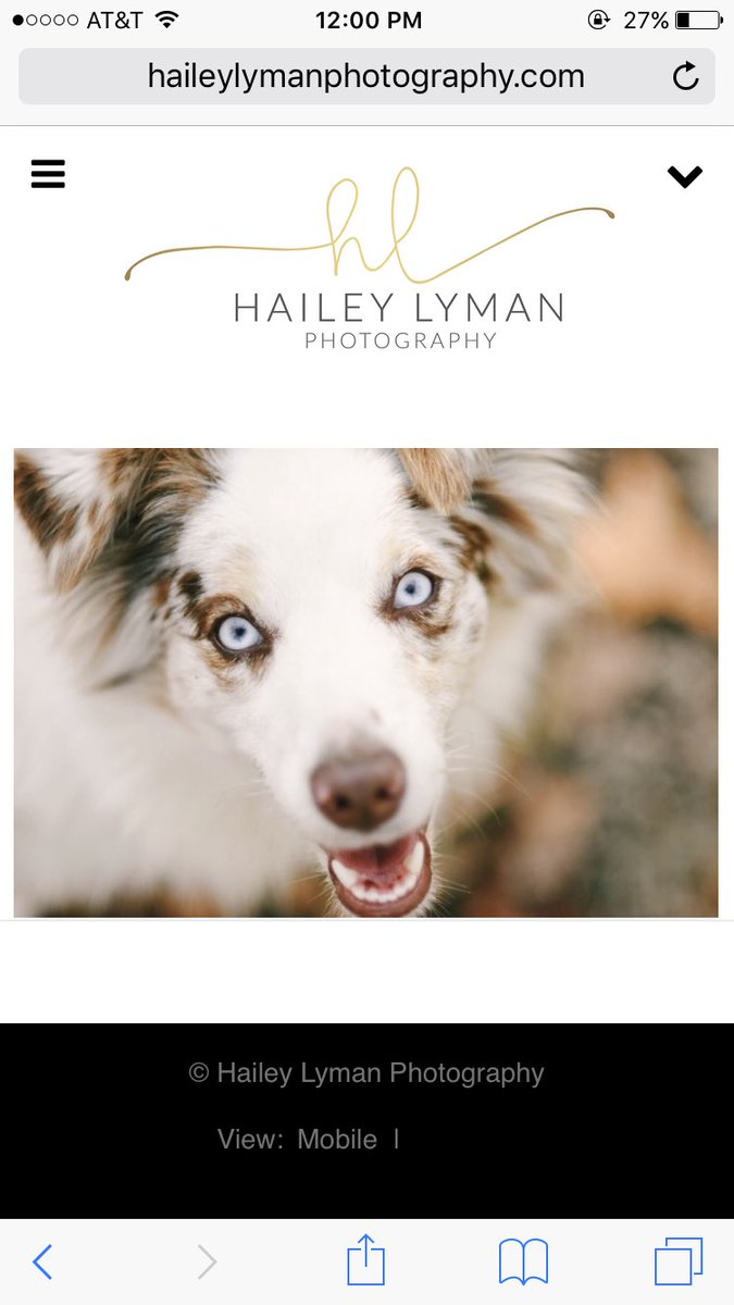 haileylyman's tweet photo. Sooo I made a new website guys and if you haven't checked me out yet, you should!! I'm now booking for the spring, contact me if you're interested in a shoot at
https://t.co/sjEx1CaTtc https://t.co/tsbUapSXng