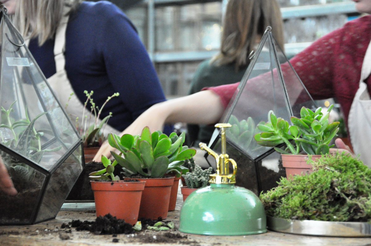 Kicking off our 2018 workshop schedule making terrariums in our sunny (but a little chilly) workshop this afternoon. If you fancy making your own miniature plant world join us on the 1st February bit.ly/2FcEOR0