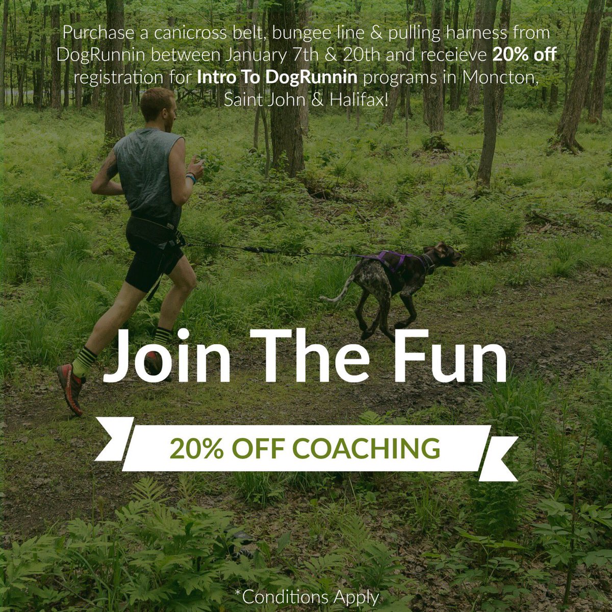 DogRunnin tweet media