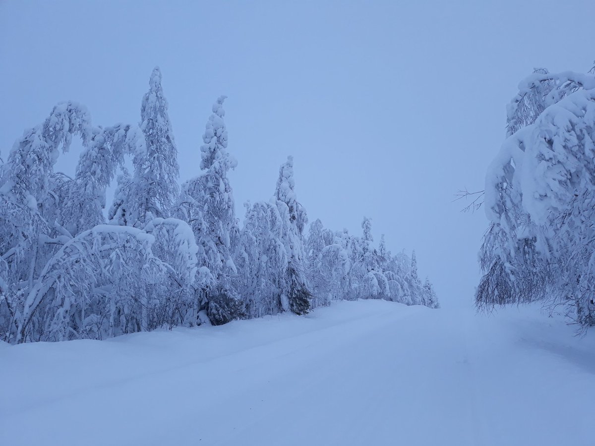 saharakala's tweet photo. I love snow but I think this is enough 🌨 Thankfully we got the power back though #powercut #sähkökatko #tykkylumi https://t.co/6MEqHbmUor