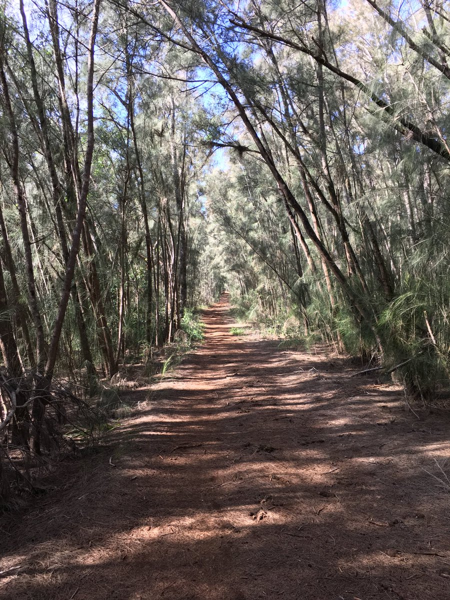 black1label's tweet photo. Last hike before I go back to Oahu ✌🏼 https://t.co/RZPpW6ETE1