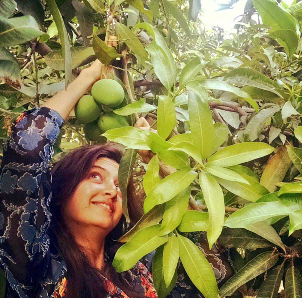 DS9cqhcUQAA6KbX.jpg:large