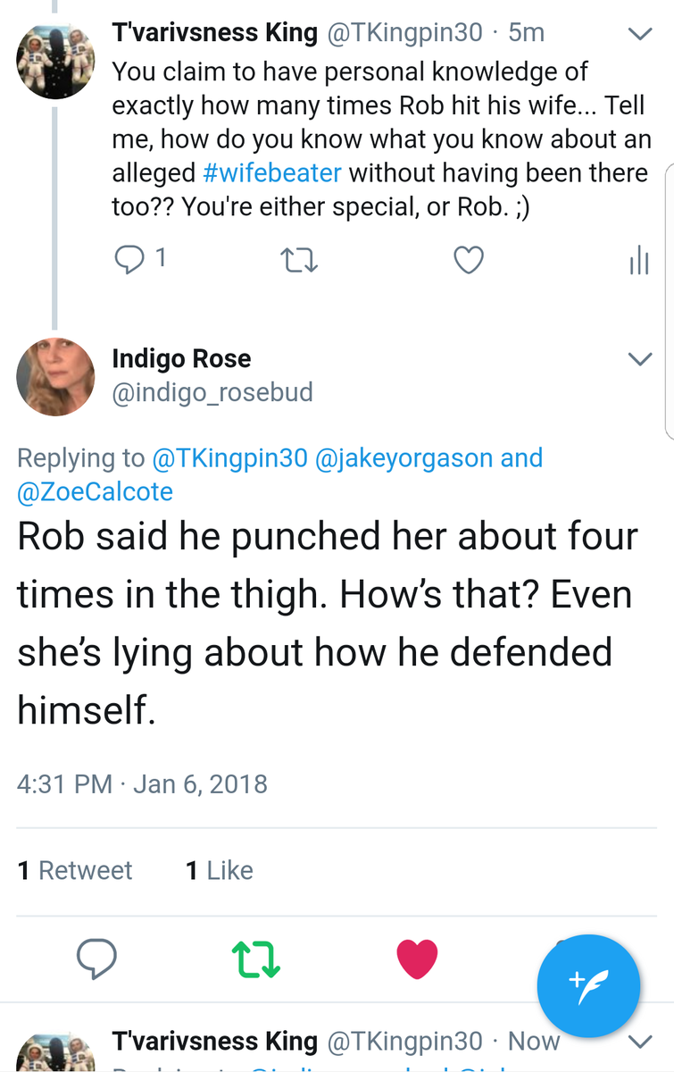 TKingpin30's tweet photo. Also, @zoecalcote, her "best friend," and Rob are accusing his ex of being a liar bc a blog post about his abusing his ex only mentioned him punching her in the gut and not also the "THIGH FOUR TIMES." https://t.co/8V2IIAzRz5