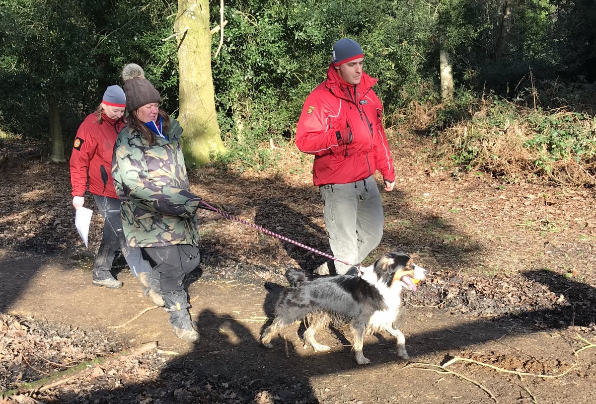 PATDogMilo's tweet photo. Nice to meet some new friends today in the #NewForest.  Hope they like mud! https://t.co/mrJA7Aw0DO