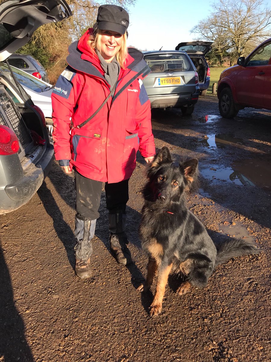 PATDogMilo's tweet photo. Nice to meet some new friends today in the #NewForest.  Hope they like mud! https://t.co/mrJA7Aw0DO