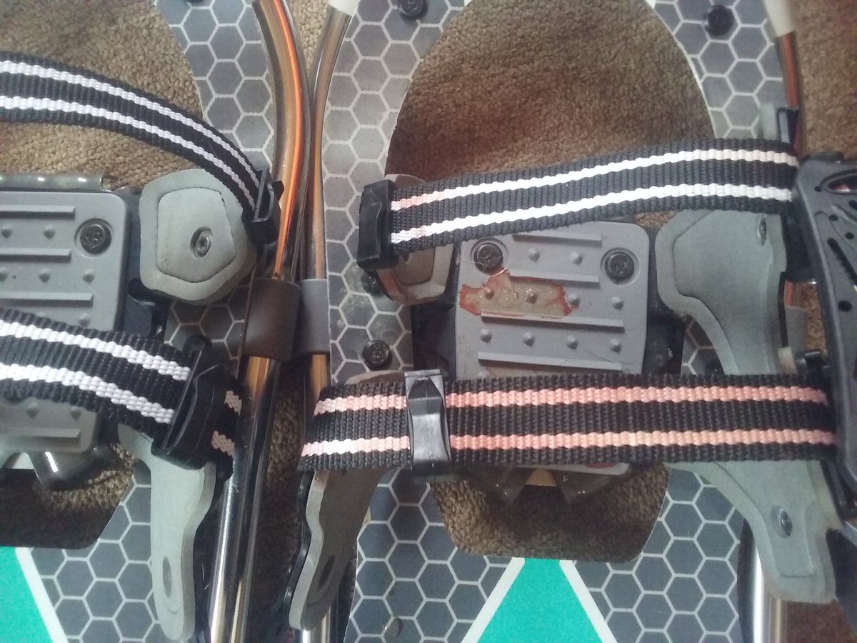 mmmadcccow's tweet image. I got blood on the bindings of my new snowshoes last night. Hmmm? ☺ #HuntToEat #muzzleloaderseason