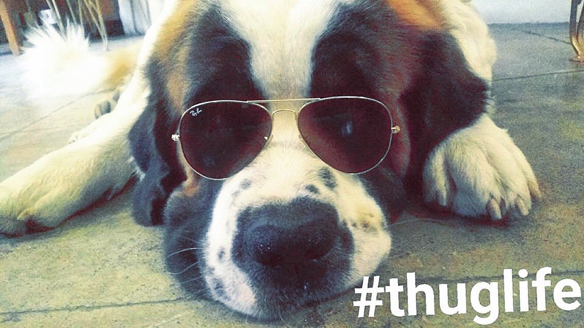thehippieque's tweet photo. Monday mood. https://t.co/UgX7cDR8Mx