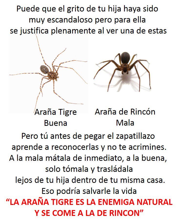 SeguridadValdes's tweet image. SEGURIDAD.
Aprendamos a reconocer el peligro....