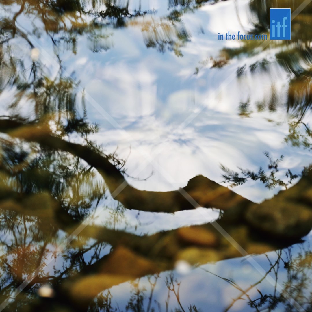InTheFocusMedia's tweet photo. Sky meets water meets earth. #lovelyday #vscocam #inthefocus #itf #serenity #nature https://t.co/wnvwhjP3J9