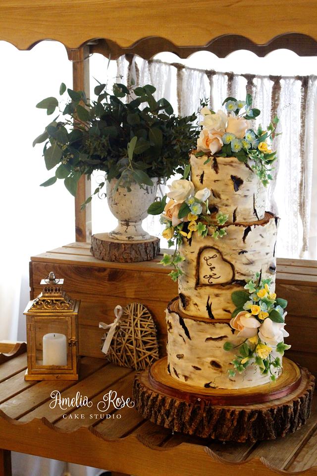 AmeliaRoseCake's tweet photo. #weddingcake #wedding #weddingplanner #bride #barnwedding #silverbirch #rusticwedding https://t.co/ex6tCtyEdf